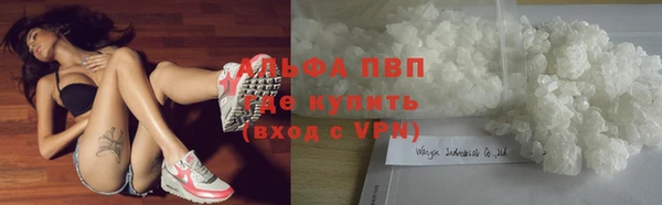 PSILOCYBIN Великий Новгород