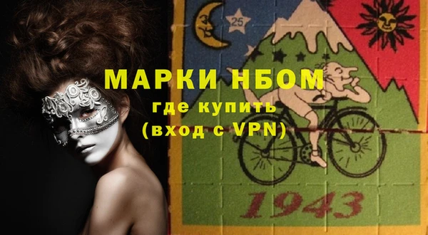 шишки Магадан